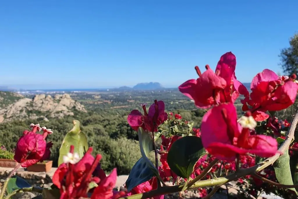 Belvedere Country House Enas